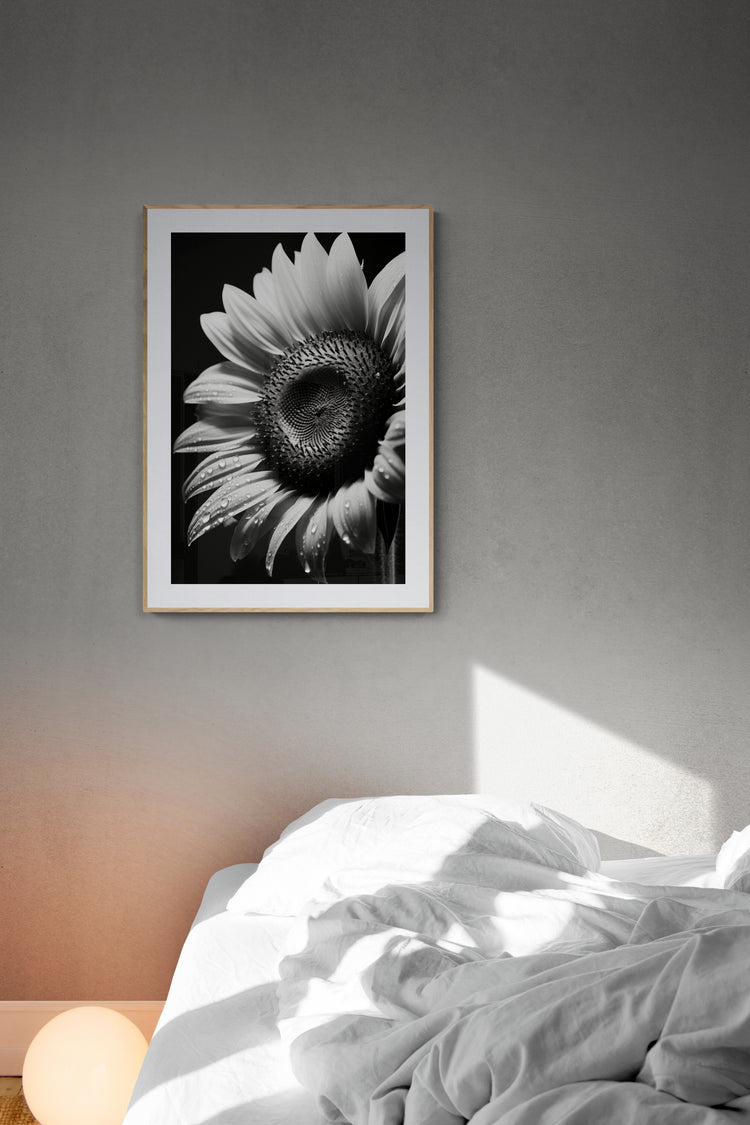 BnW Sunflower